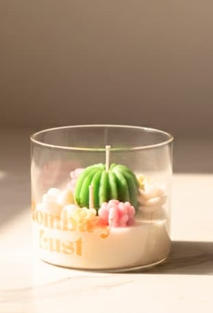 Cactus thumbnail 2